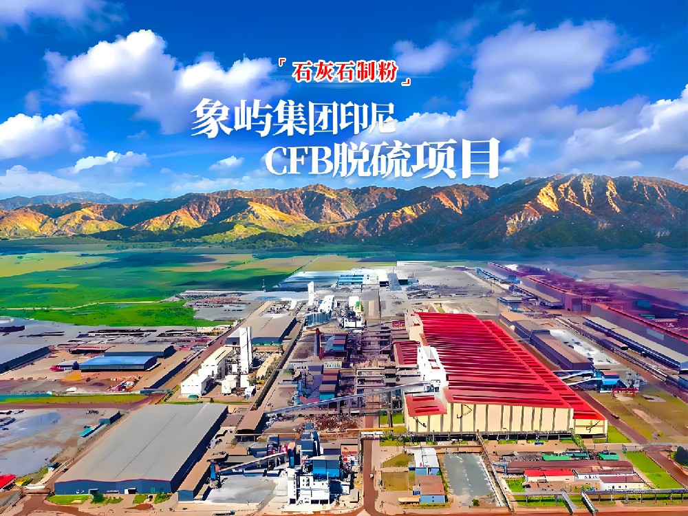 Liming Heavy Industry impulsa la puesta en marcha exitosa del proyecto de desulfuración CFB 2×380MW de Xiangyu Group en Indonesia